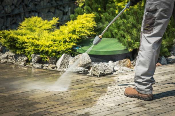 Best Sidewalk and Walkway Cleaning  in Cheboygan, MI