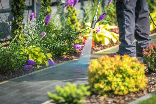 Trusted Cheboygan, MI Pressure Washing Services Experts