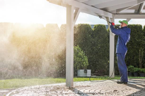 Best Gutter Cleaning  in Cheboygan, MI