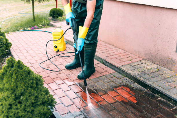 Best Roof Washing  in Cheboygan, MI