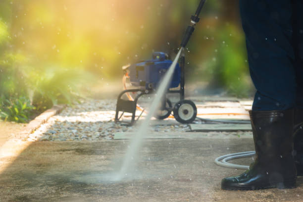 Best Fence Cleaning  in Cheboygan, MI